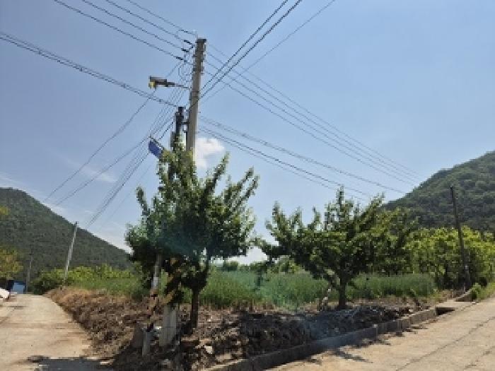 법원경매 2025타경10187 사진3 | 대구 군위군 삼국유사면 화수리 23 전 경매