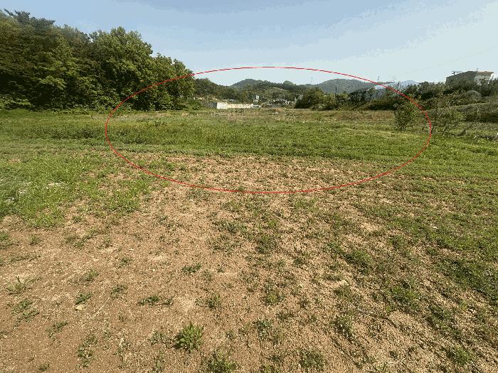 2025타경51221 법원경매 사진9 | 충남 당진시 답 경매