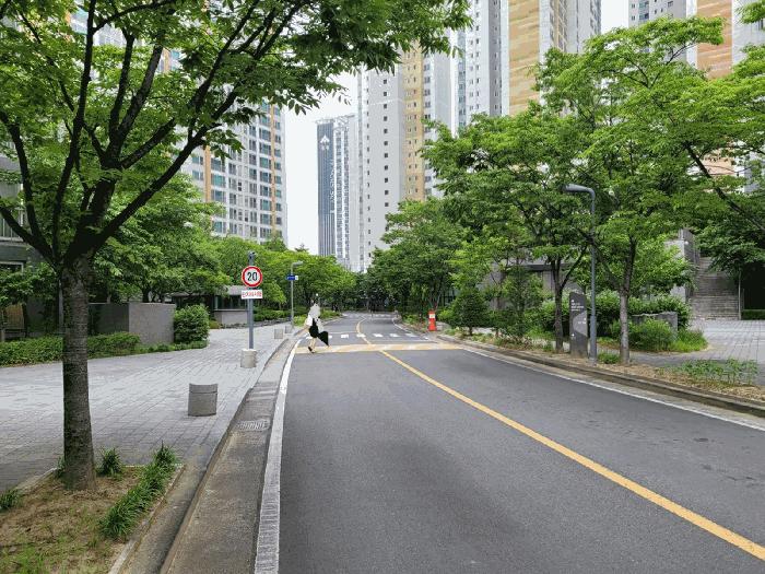 2025타경8197 법원경매 사진9 | 대구 중구 아파트 경매