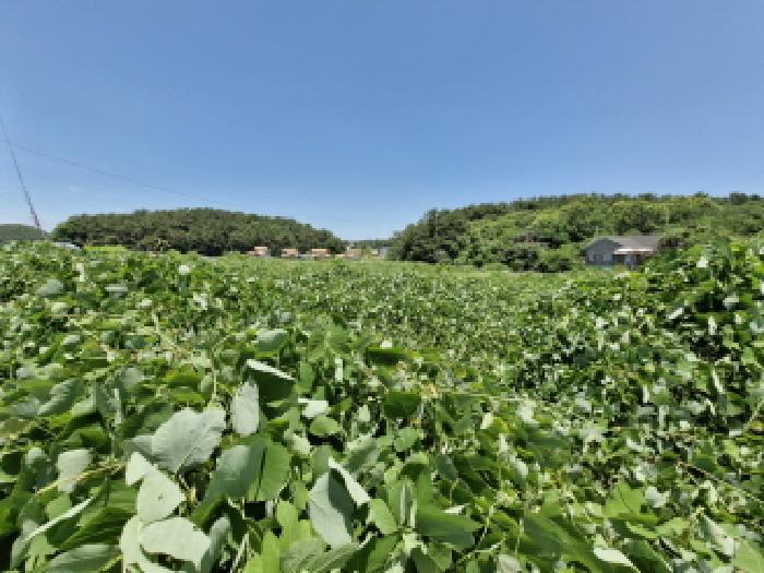 경기도 안산시 단원구 대부동동 650-2 법원경매 물건 대표사진