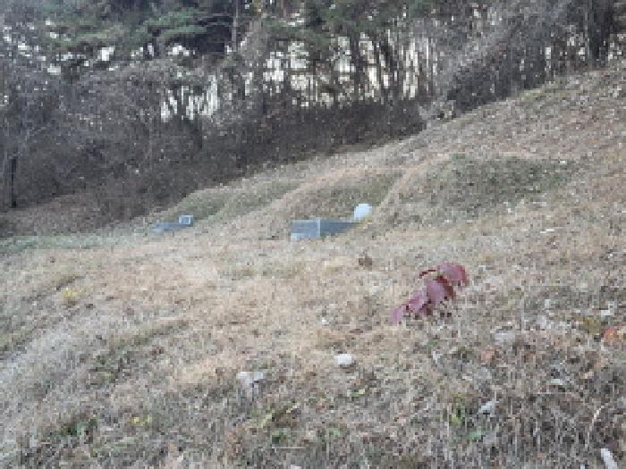 법원경매 2025타경3613 사진4 | 성주군 월항면 지방리 임야 경매