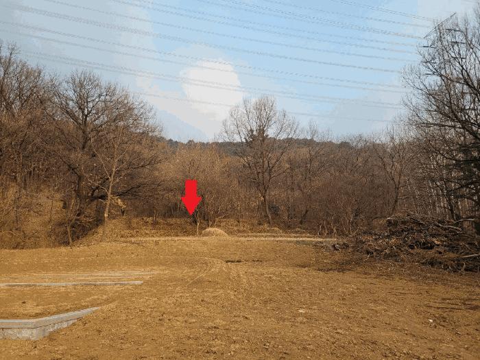 대구광역시 달성군 유가읍 쌍계리 302 법원경매 물건 대표사진