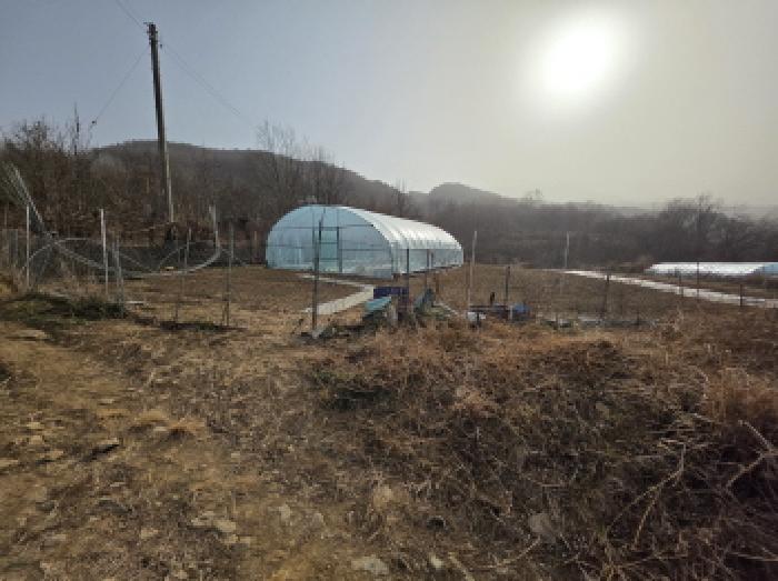법원경매 2025타경31983 사진18 | 고령군 개진면 오사리 임야 경매