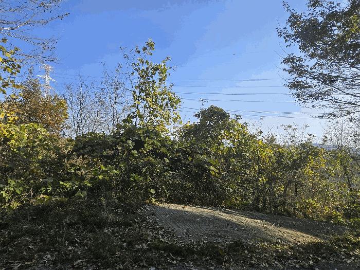 경상북도 성주군 가천면 동원리 671 법원경매 물건 대표사진