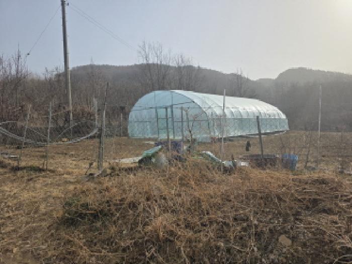 법원경매 2025타경31983 사진23 | 성주군 가천면 동원리 671 전 경매