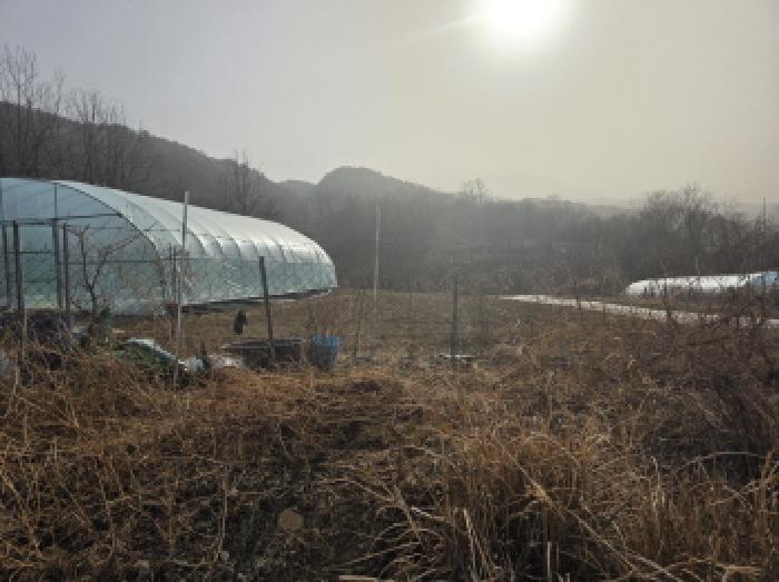 법원경매 2025타경31983 사진17 | 성주군 금수강산면 영천리 임야 경매