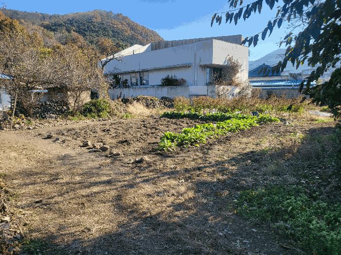 법원경매 2025타경32048 사진2 | 대구 달성군 가창면 행정리 919 전 경매