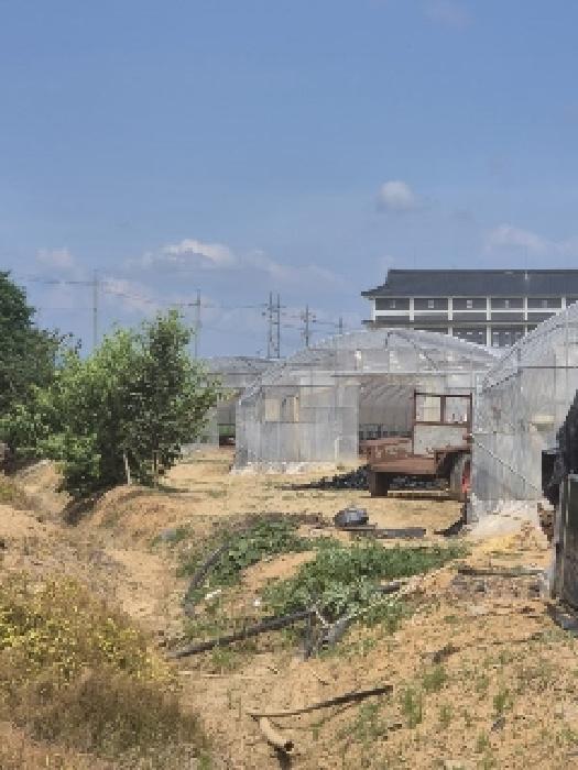 2025타경3676 법원경매 사진18 | 전남 나주시 답 경매