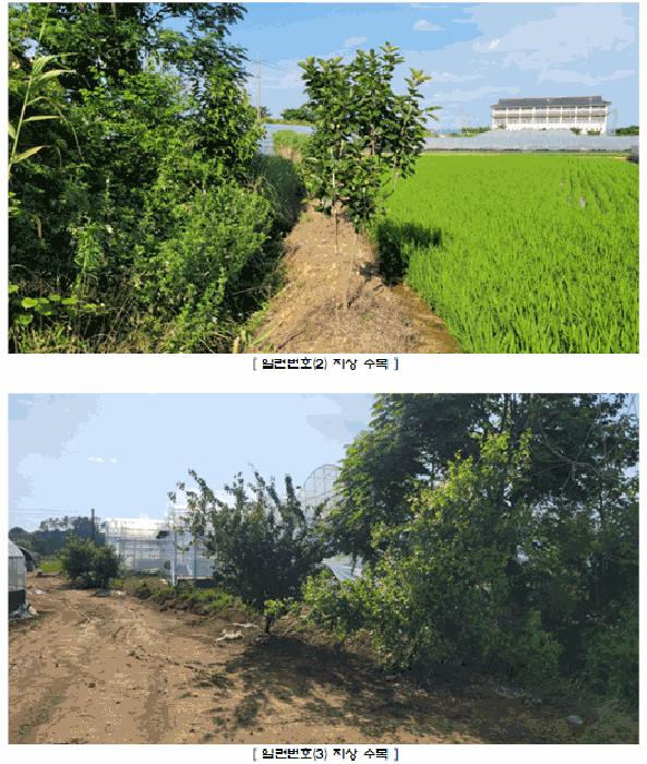 2025타경3676 법원경매 사진5 | 전남 나주시 답 경매