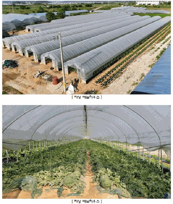 2025타경3676 법원경매 사진8 | 전남 나주시 답 경매