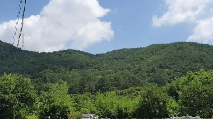2025타경257 법원경매 사진12 | 창원 마산합포구 주택건물 경매