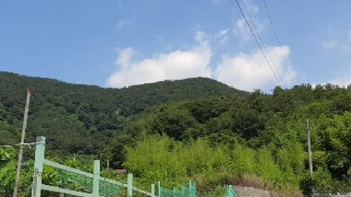 2025타경257 법원경매 사진13 | 창원 마산합포구 주택건물 경매