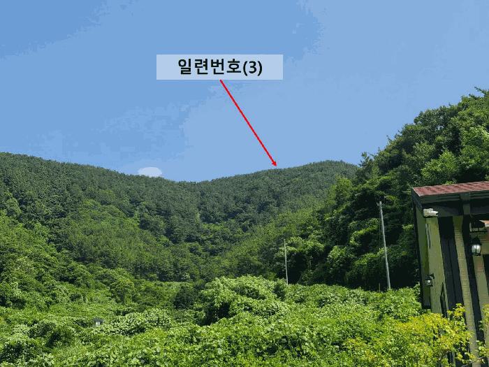 2025타경257 법원경매 사진4 | 창원 마산합포구 주택건물 경매
