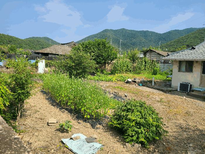 2025타경257 법원경매 사진6 | 창원 마산합포구 임야 경매