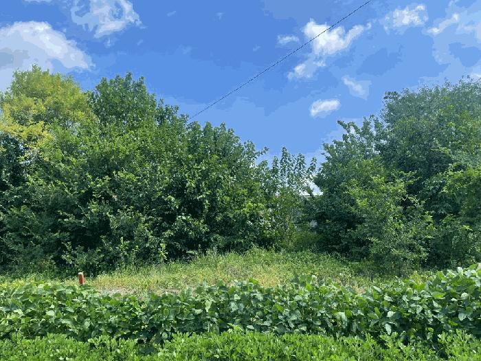 경남 함안군 대산면 구혜리 317-2 근린주택 사진 2