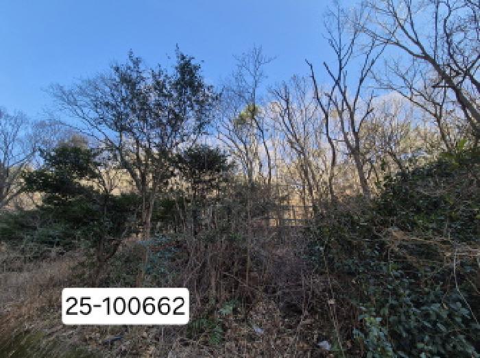 법원경매 2025타경100662 사진2 | 부산 북구 덕천동 임야 경매