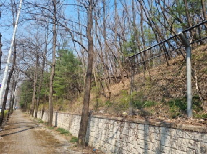 2025타경765 법원경매 사진10 | 인천 남동구 임야 경매