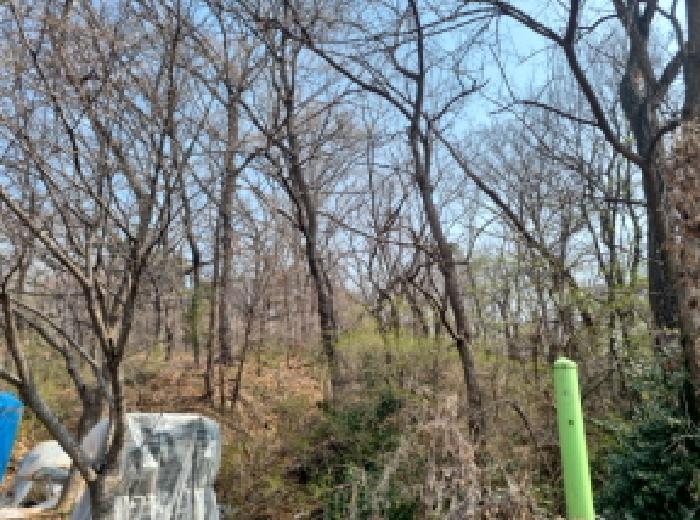 2025타경765 법원경매 사진13 | 인천 남동구 임야 경매