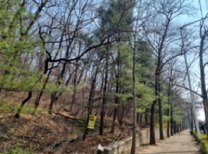 2025타경765 법원경매 사진23 | 인천 남동구 임야 경매