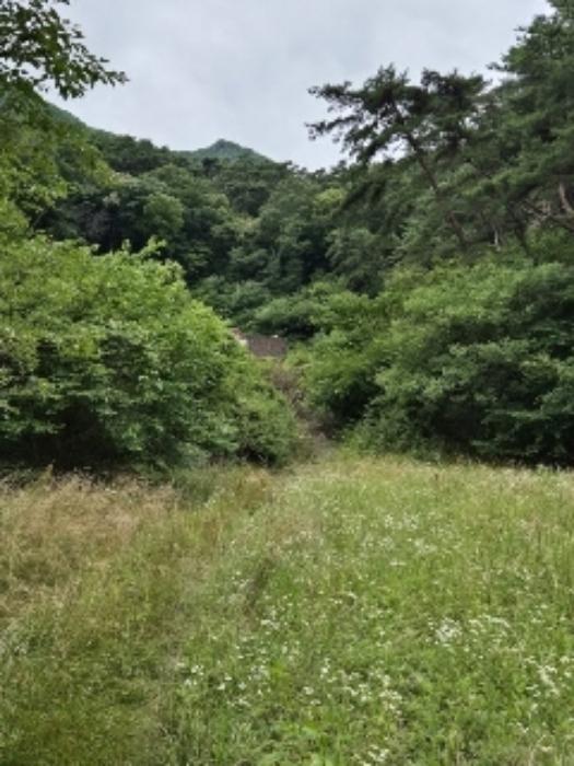 2024타경5217 법원경매 사진40 | 전남 담양군 상가 경매