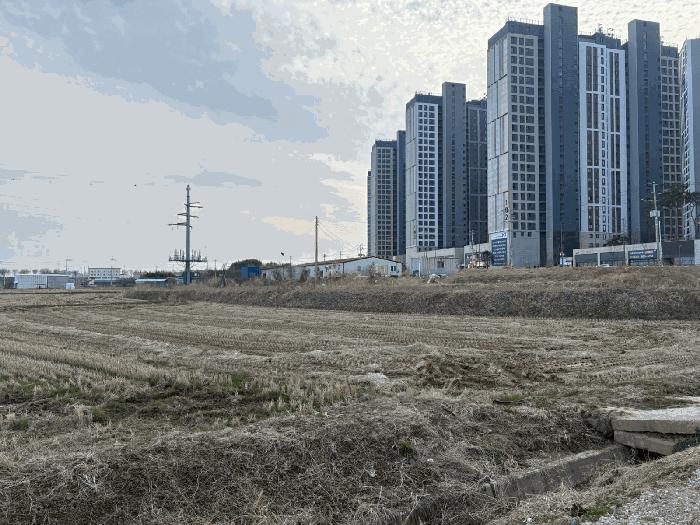 2025타경981 법원경매 사진10 | 전남 나주시 과수원 경매