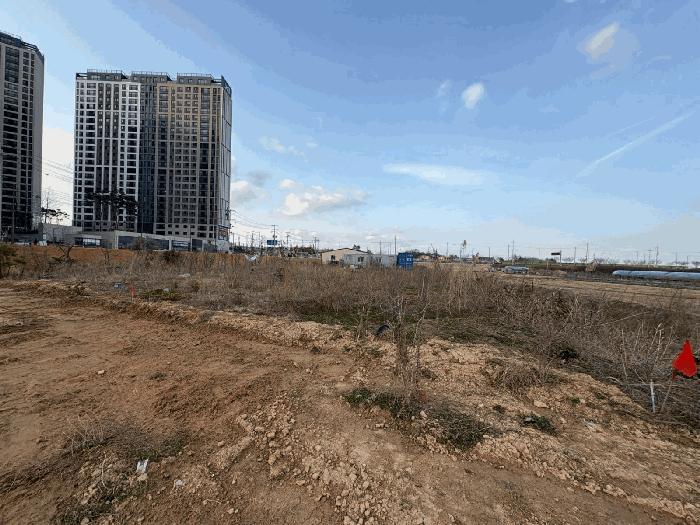 2025타경981 법원경매 사진4 | 전남 나주시 과수원 경매
