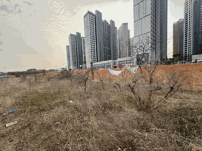 2025타경981 법원경매 사진8 | 전남 나주시 과수원 경매