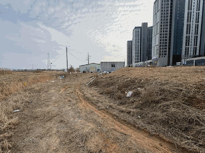 2025타경981 법원경매 사진9 | 전남 나주시 과수원 경매