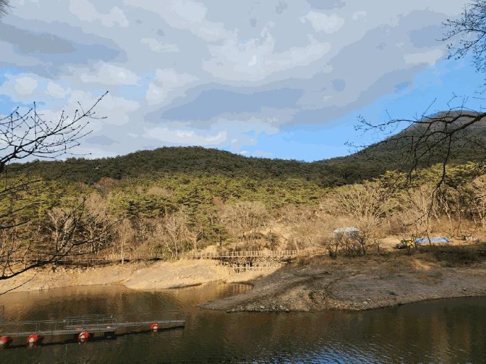 2025타경1465 법원경매 사진3 | 전남 장성군 임야 경매
