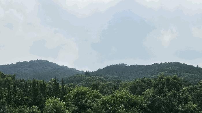 전라남도 화순군 도암면 대초리 산23 법원경매 물건 대표사진