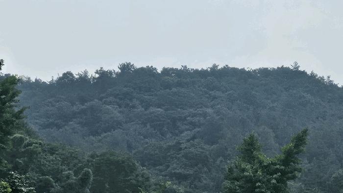 2025타경2482 법원경매 사진2 | 전남 화순군 임야 경매
