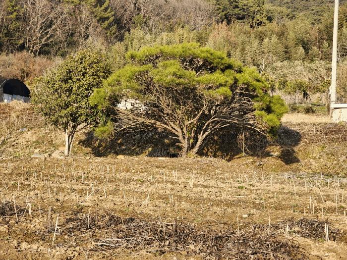 2025타경32130 법원경매 사진5 | 전남 나주시 대지 경매