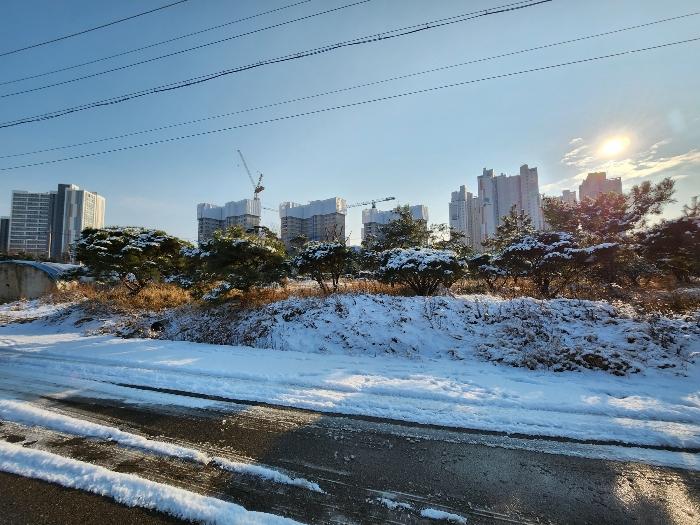 2023타경549431 법원경매 사진8 | 인천 중구 전 경매