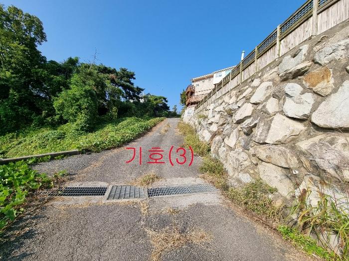 2024타경565096 법원경매 사진4 | 인천 강화군 임야 경매