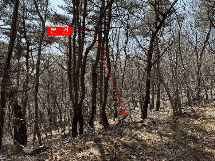 2025타경508379 법원경매 사진3 | 인천 옹진군 임야 경매
