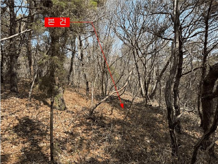 2025타경508379 법원경매 사진5 | 인천 옹진군 임야 경매