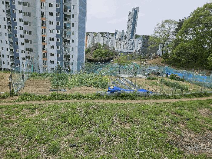 법원경매 2025타경55206 사진6 | 용인시 수지구 신봉동 202-1 임야 경매