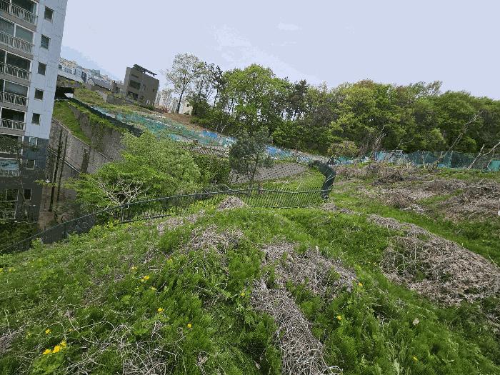 법원경매 2025타경55206 사진7 | 용인시 수지구 신봉동 202-1 임야 경매