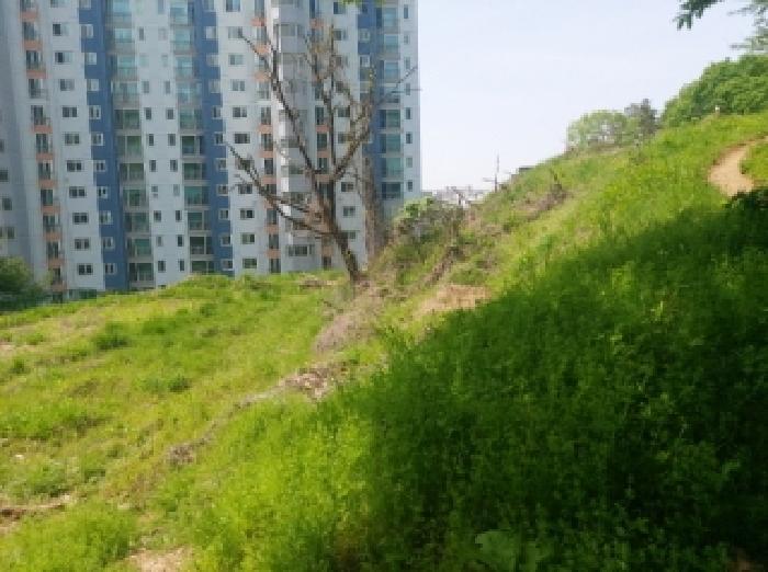 법원경매 2025타경55206 사진9 | 용인시 수지구 신봉동 202-1 임야 경매