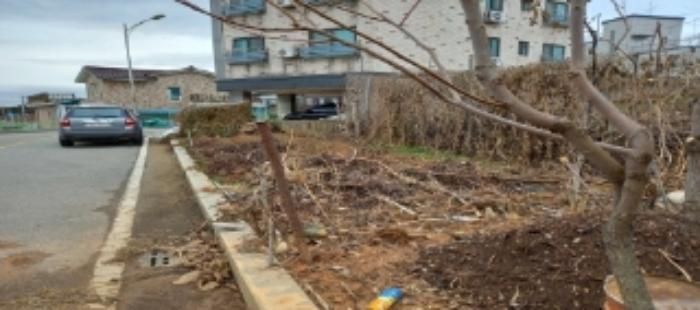 법원경매 2023타경50630 사진17 | 평택시 팽성읍 팽성남산길 다세대주택 경매