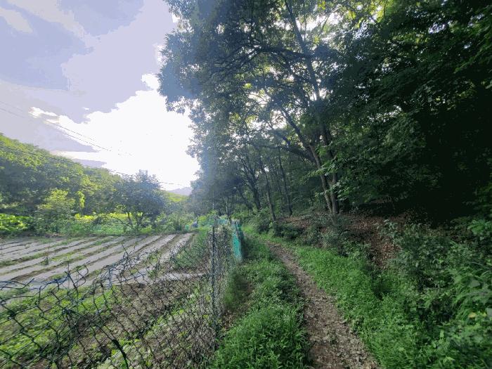 경기도 성남시 분당구 분당동 산12 법원경매 물건 대표사진