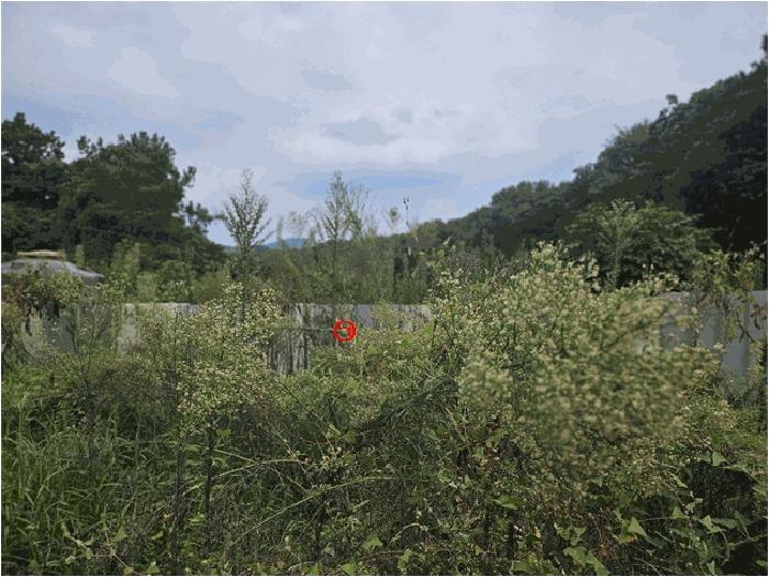 법원경매 2025타경806 사진3 | 안성시 고삼면 전 경매