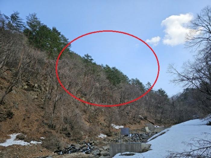 강원특별자치도 삼척시 노곡면 상마읍리 184-1 법원경매 물건 대표사진