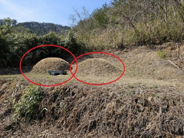 법원경매 2024타경51228 사진2 | 삼척시 노곡면 상마읍리 184-1 주택건물 경매