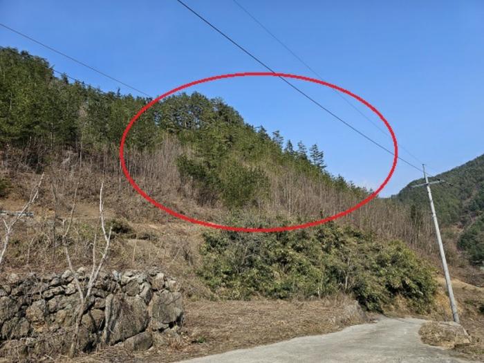 법원경매 2024타경51228 사진7 | 삼척시 노곡면 상마읍리 184-1 주택건물 경매