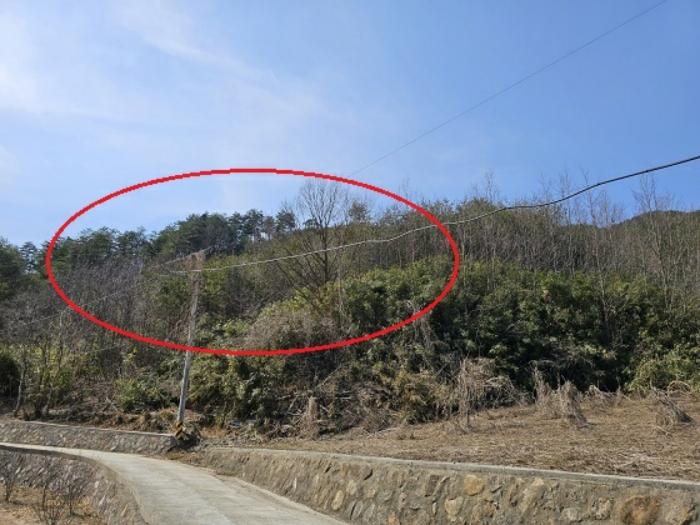 법원경매 2024타경51228 사진8 | 삼척시 노곡면 상마읍리 184-1 주택건물 경매