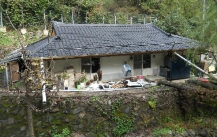 법원경매 2024타경54289 사진20 | 삼척시 도계읍 발이리 329 대지 경매