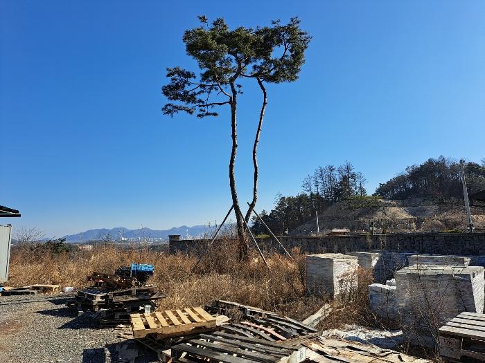 2024타경114 법원경매 사진13 | 충북 제천시 근린주택 경매