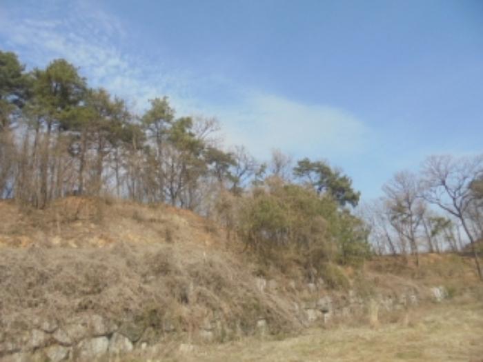 2024타경982 법원경매 사진7 | 충북 음성군 주택건물 경매