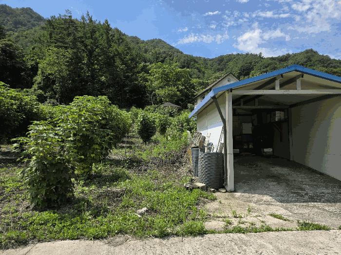 법원경매 2025타경225 사진12 | 강릉시 유천동 임야 경매